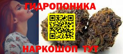 тгк Лесосибирск