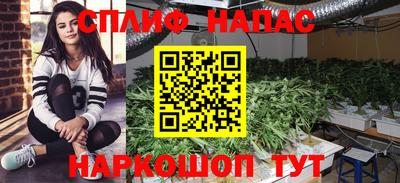 тгк Лесосибирск