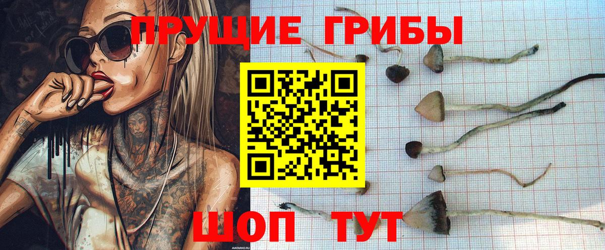 Галлюциногенные грибы мухоморы Гурьевск