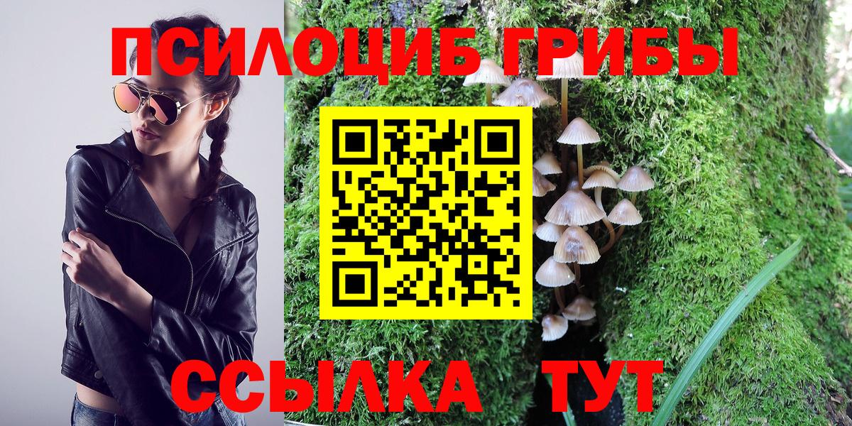 Псилоцибиновые грибы Psilocybine cubensis  Вход с VPN  Гурьевск 